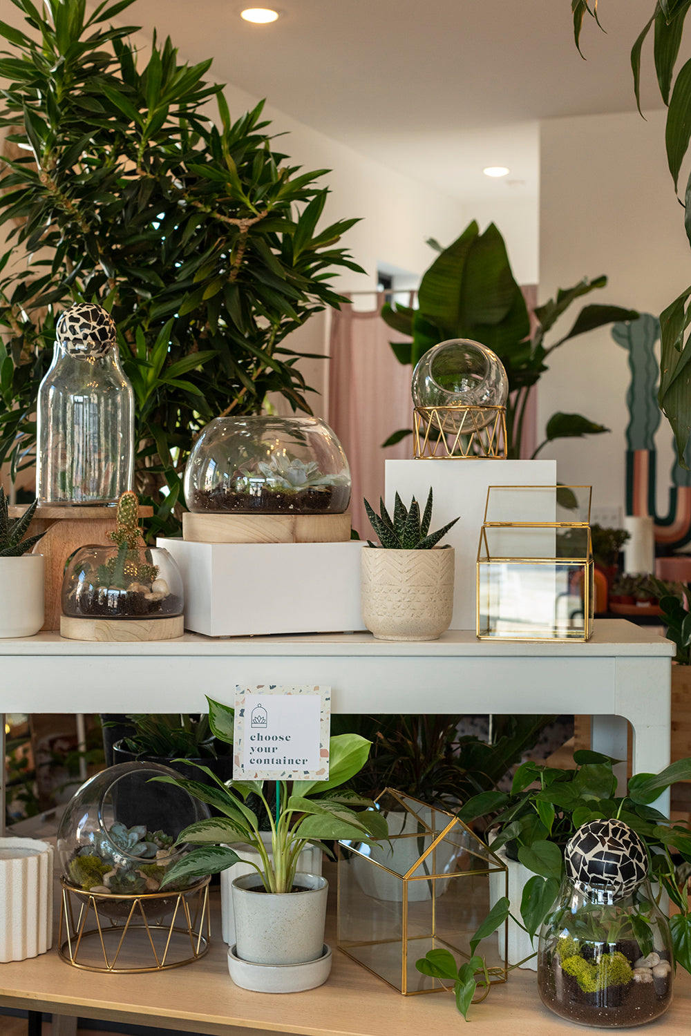 Rory Terrarium