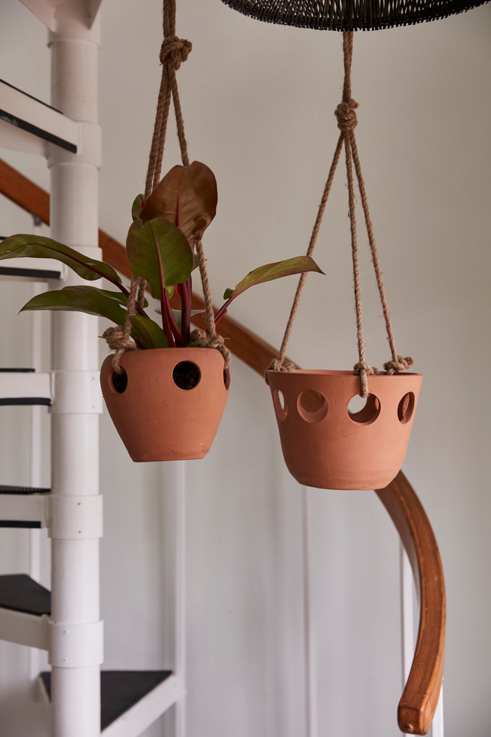 Serralles Hanging Pot