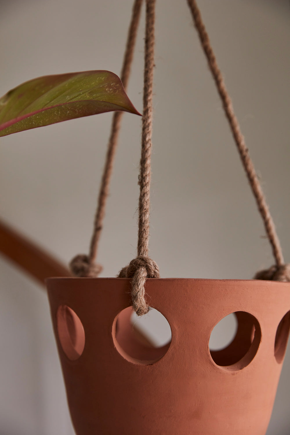Serralles Hanging Pot