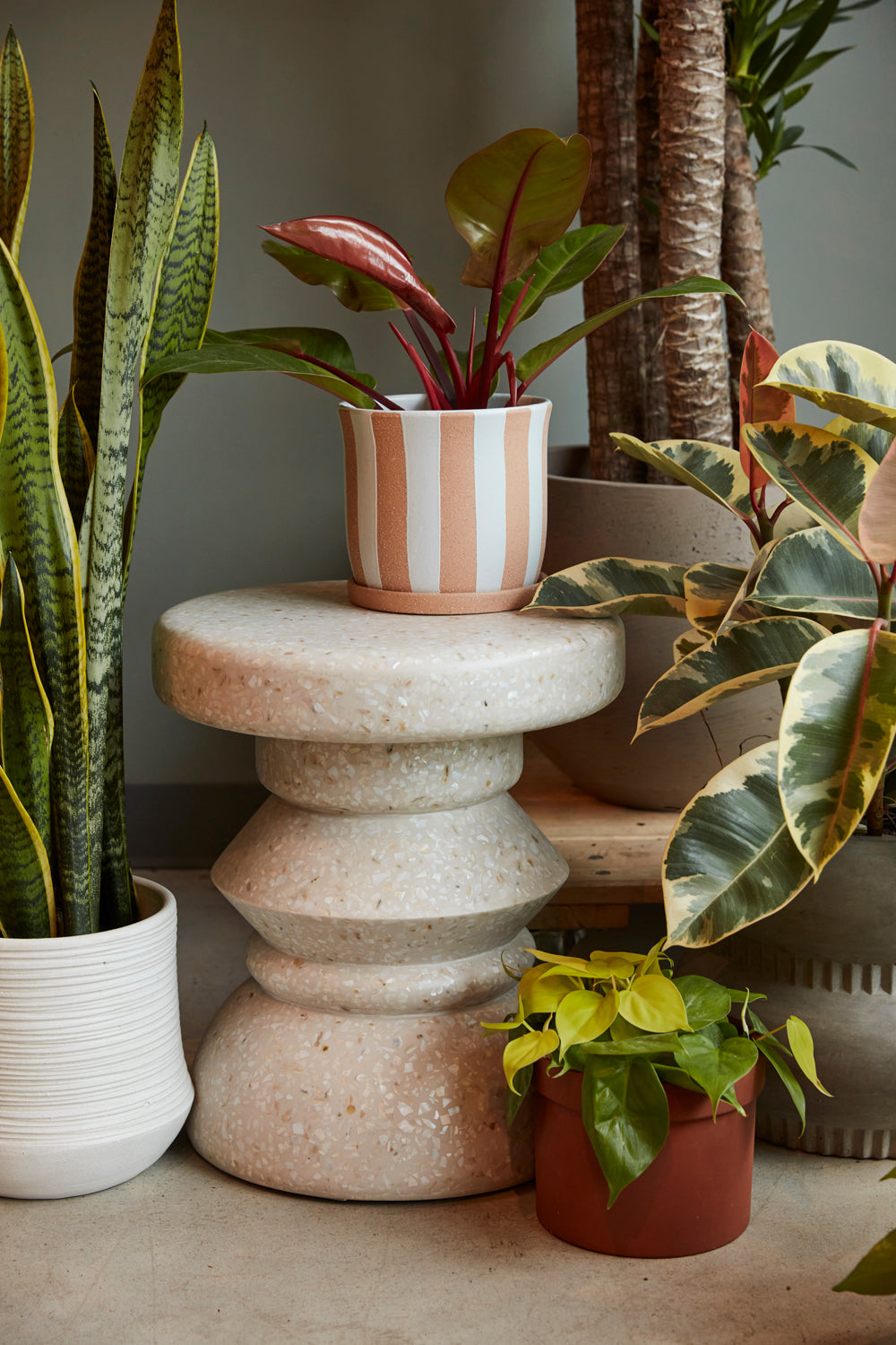 Sharona Stool