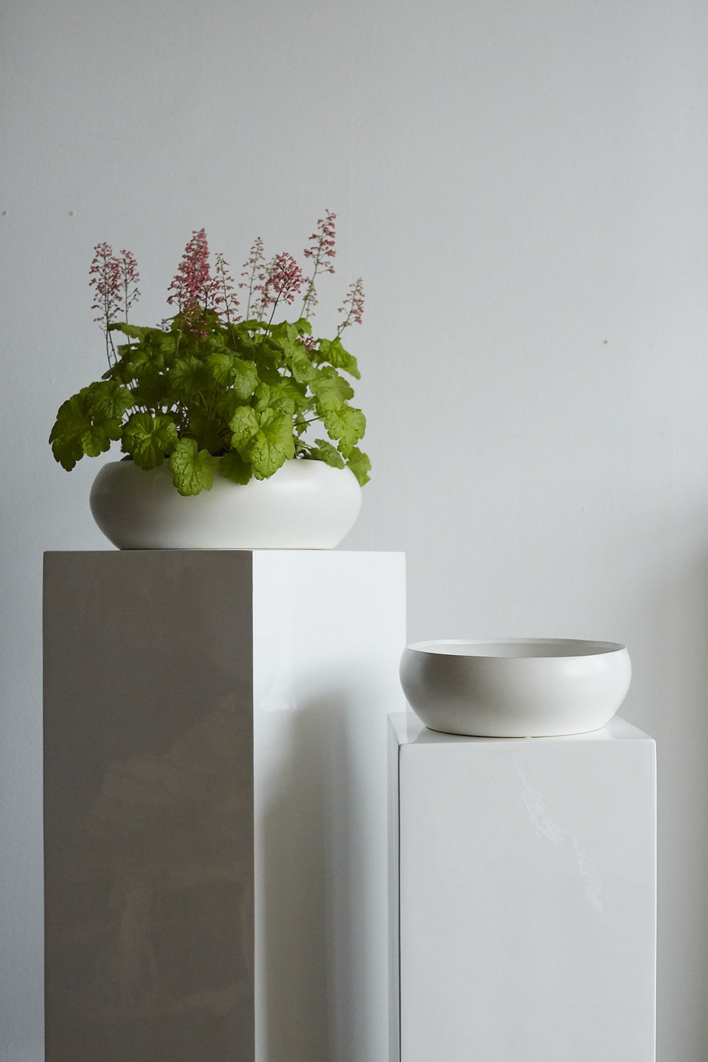 Simply Collection