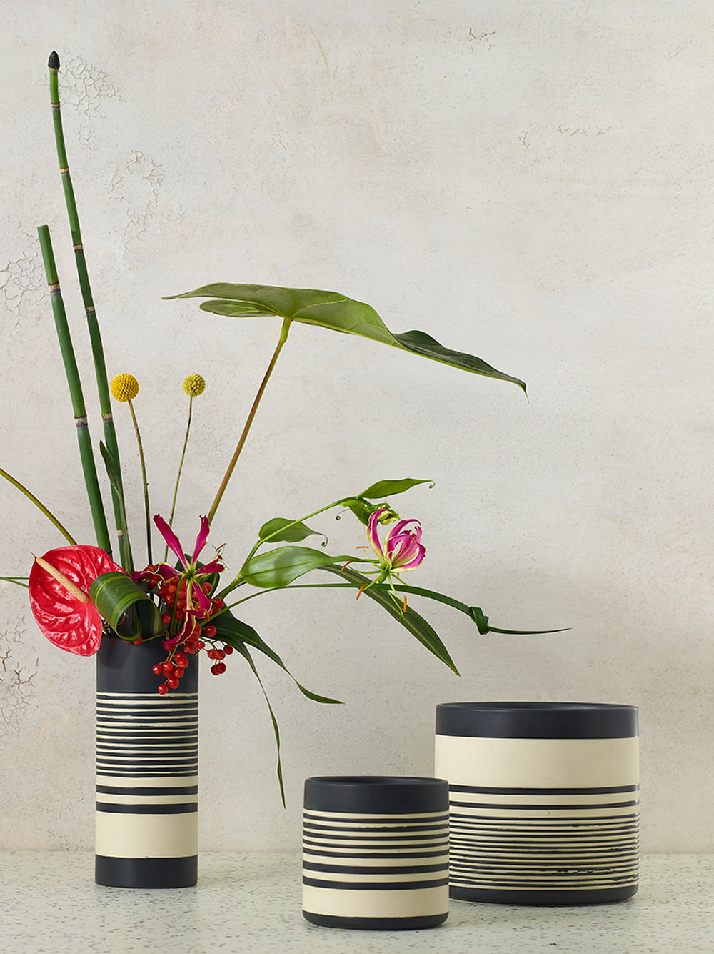 Sinclair Collection