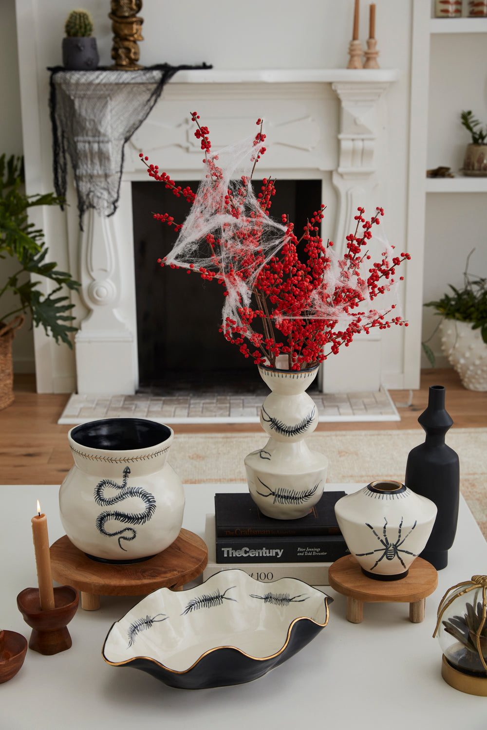 Sinuous Collection