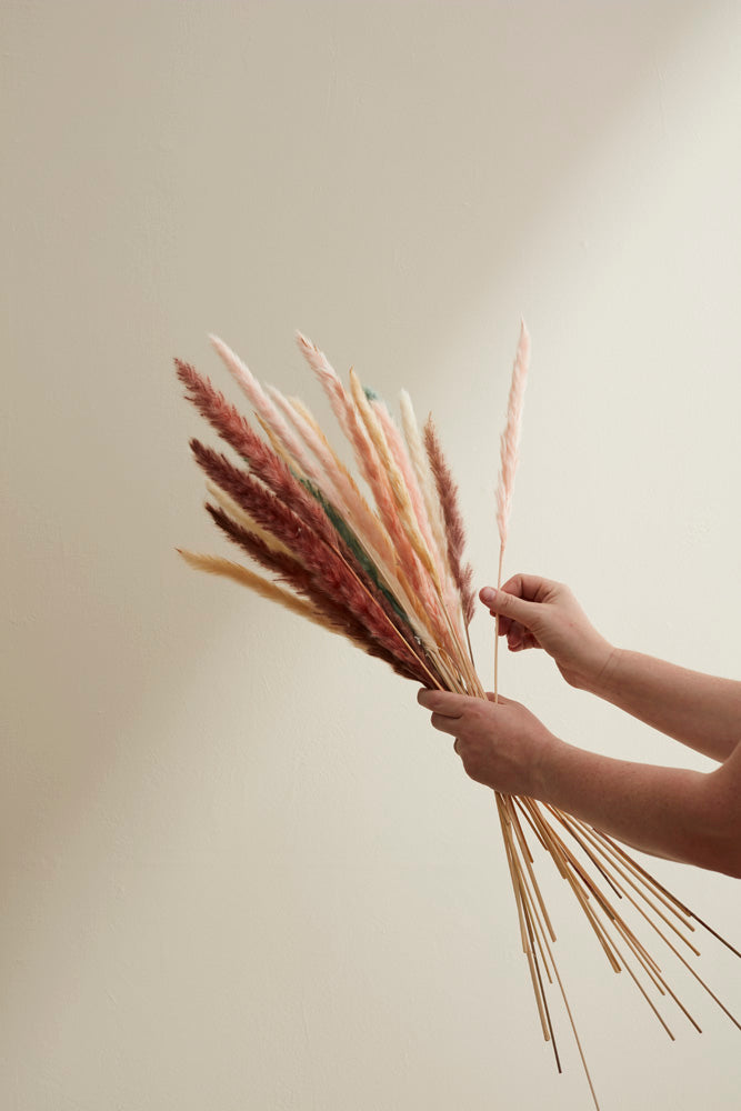 Slim Dried Pampas Grass