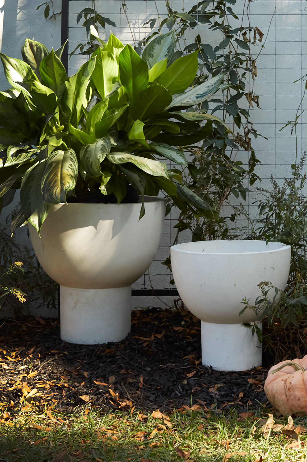 Sloan Planter