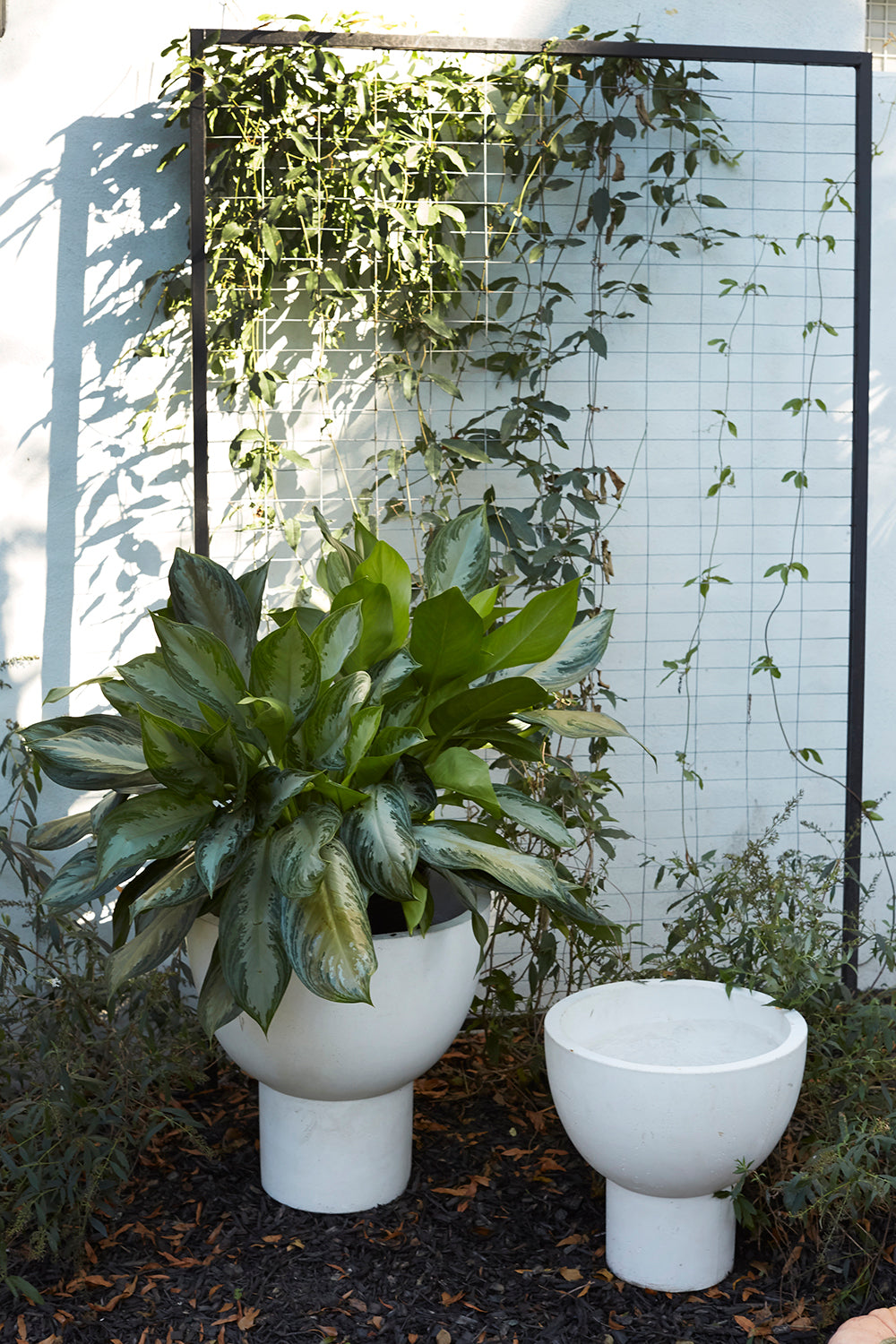 Sloan Planter