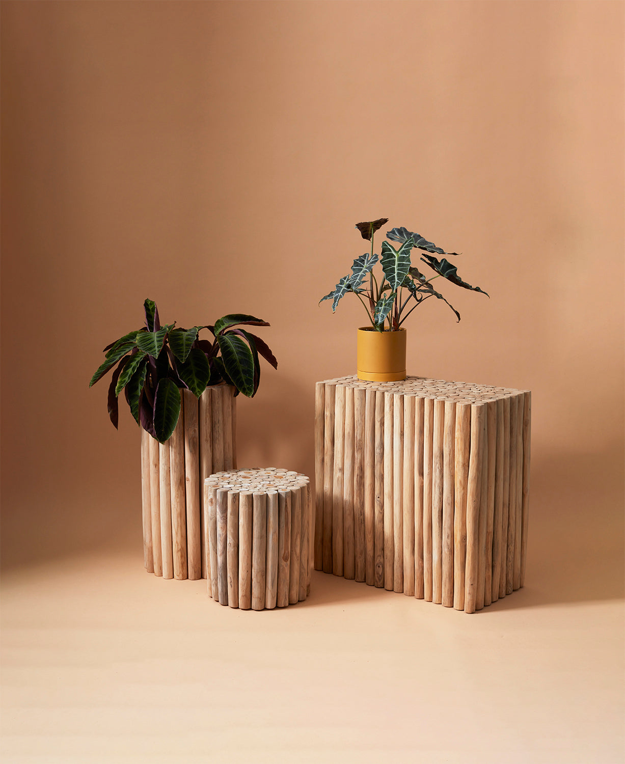 Sotello Table