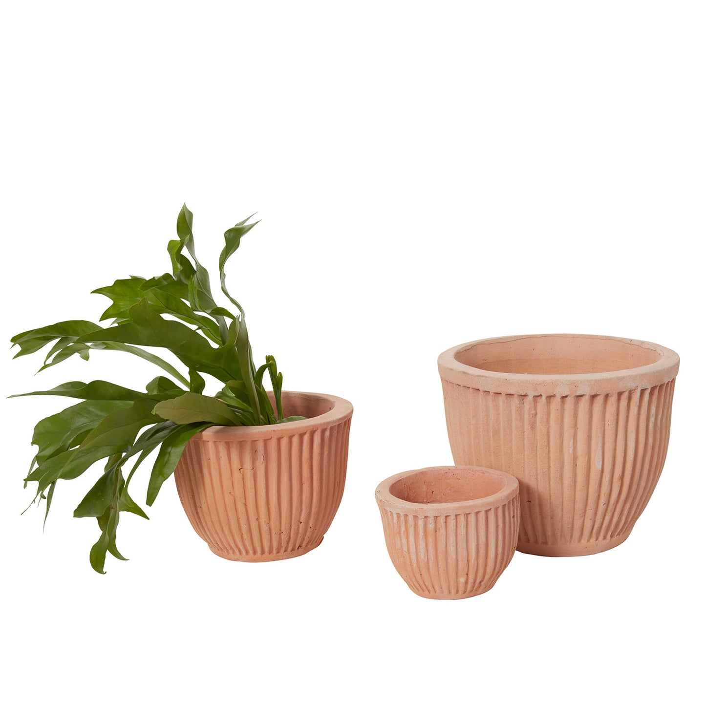 Soto Pot
