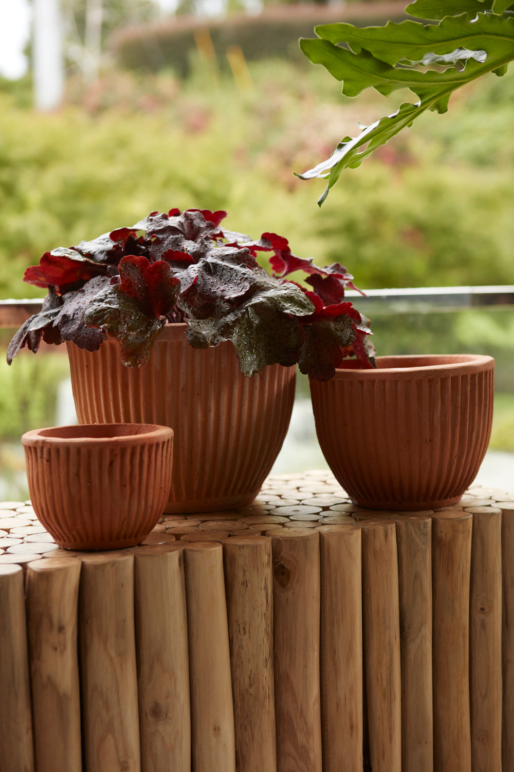 Soto Pot