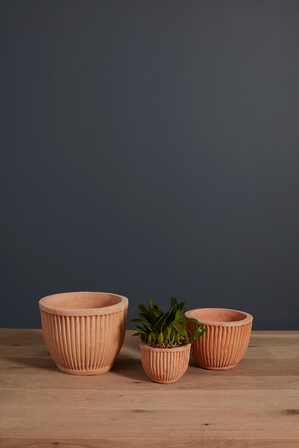 Soto Pot