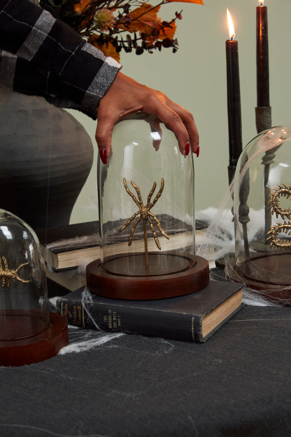 Specimen Cloche