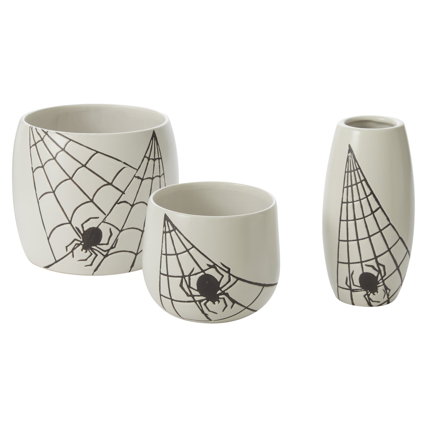 Spiderweb Collection