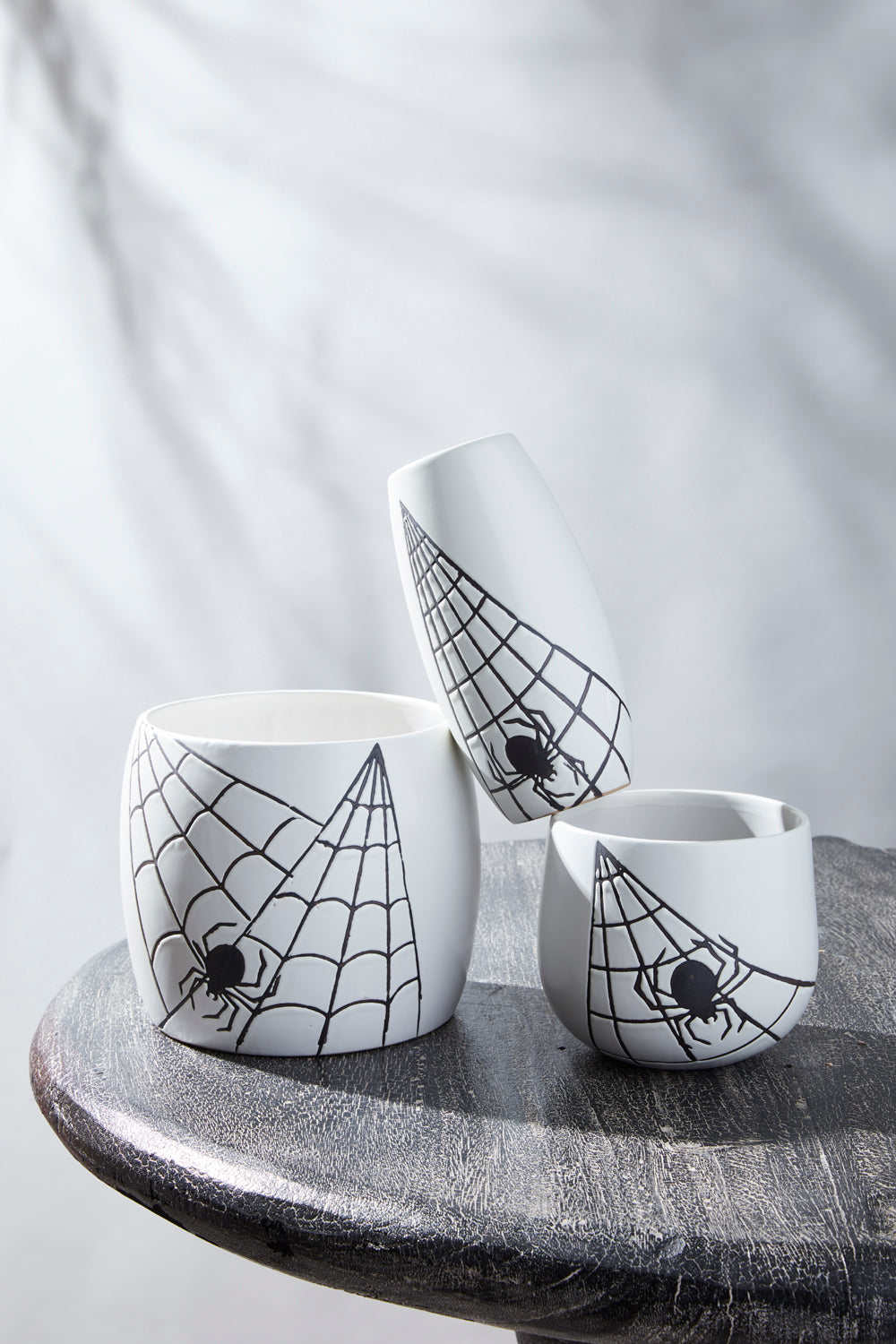 Spiderweb Collection