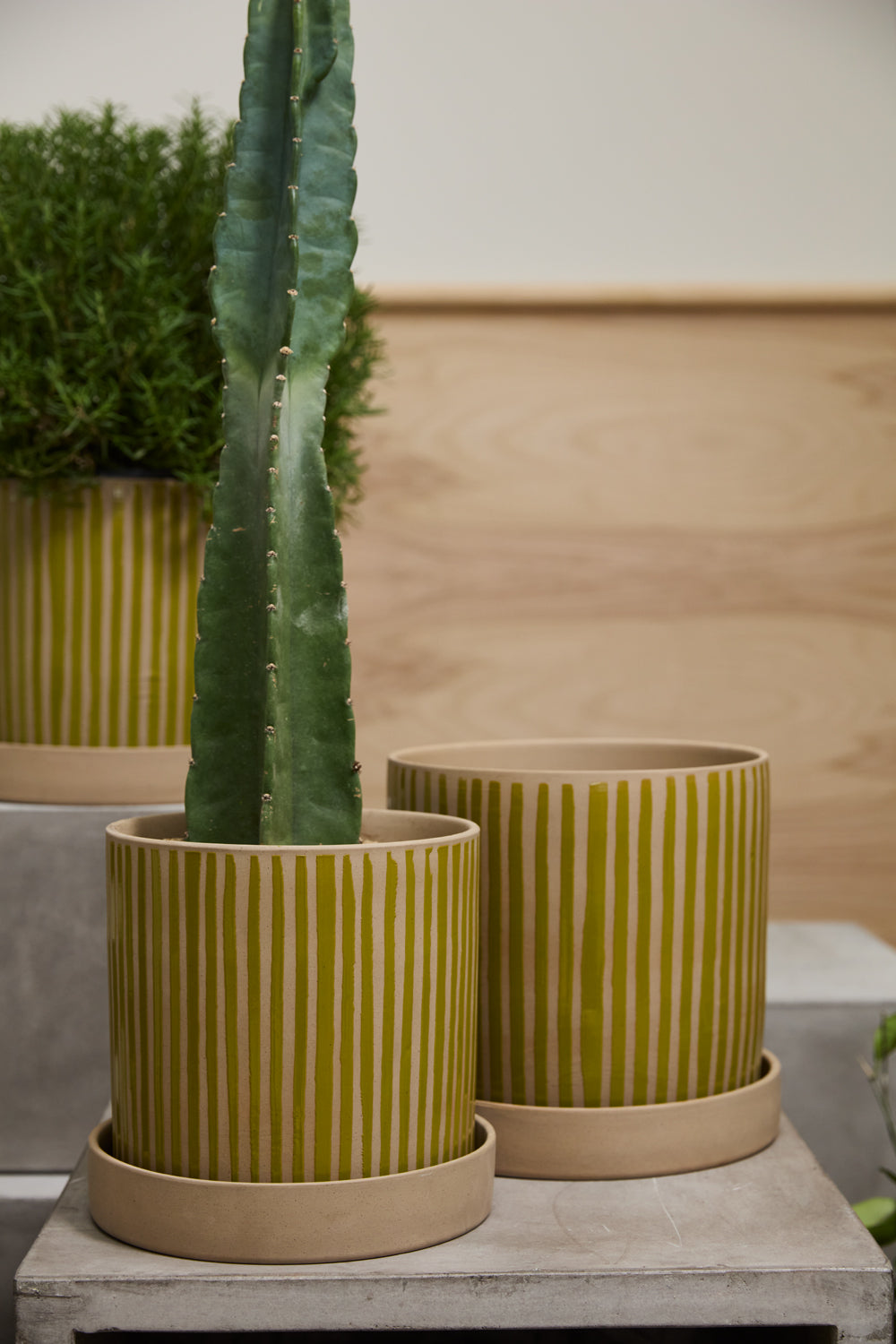 Sullivan Pot with Saucer