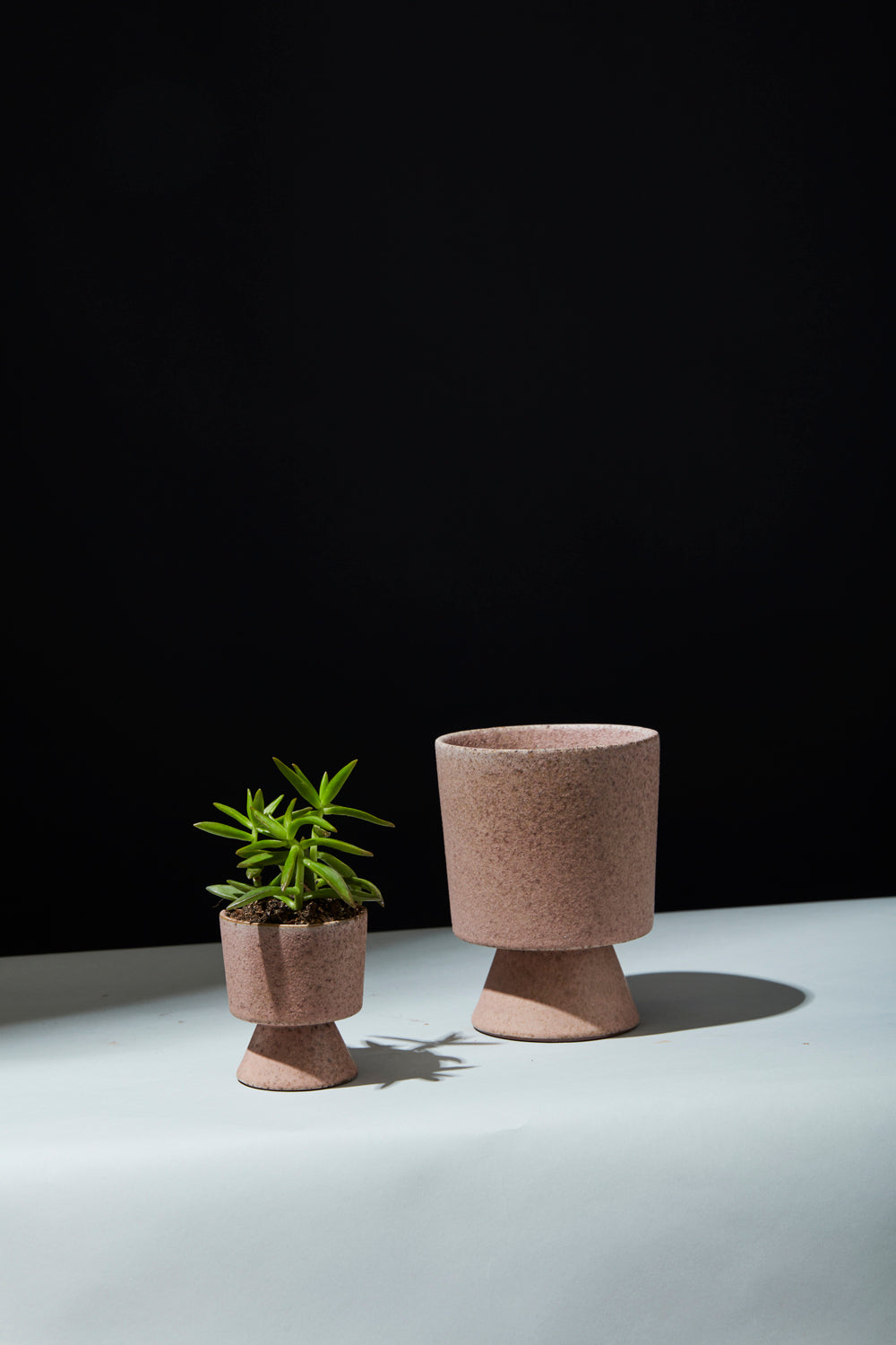 Tarte Footed Pot