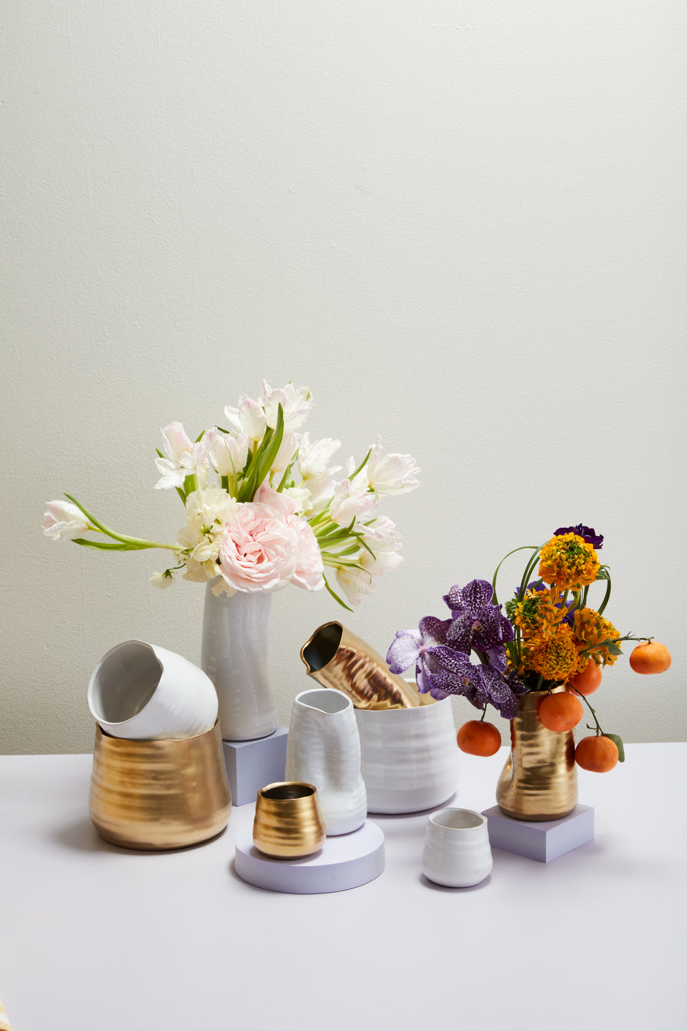 Tegan Collection