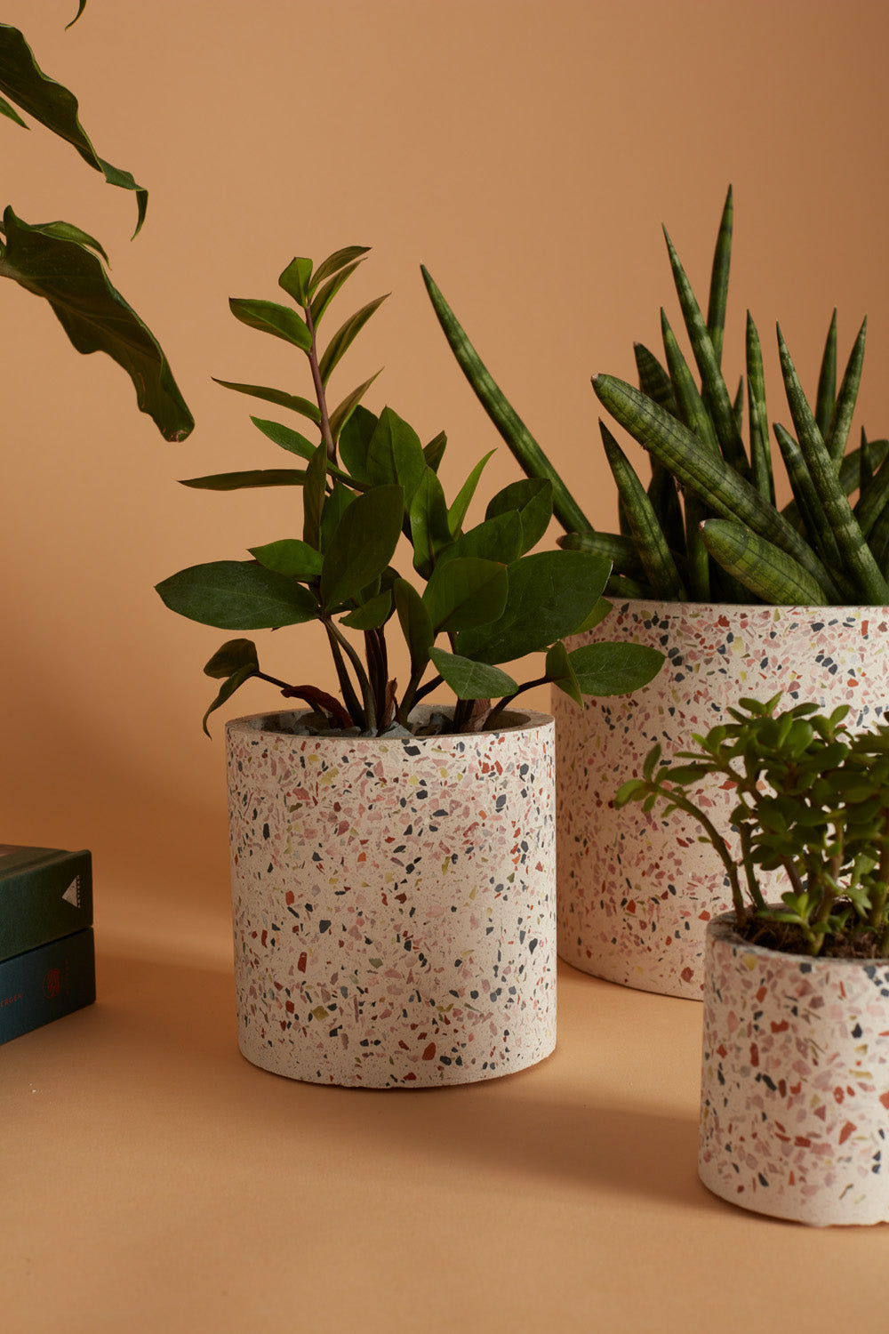 Terrazzo Collection