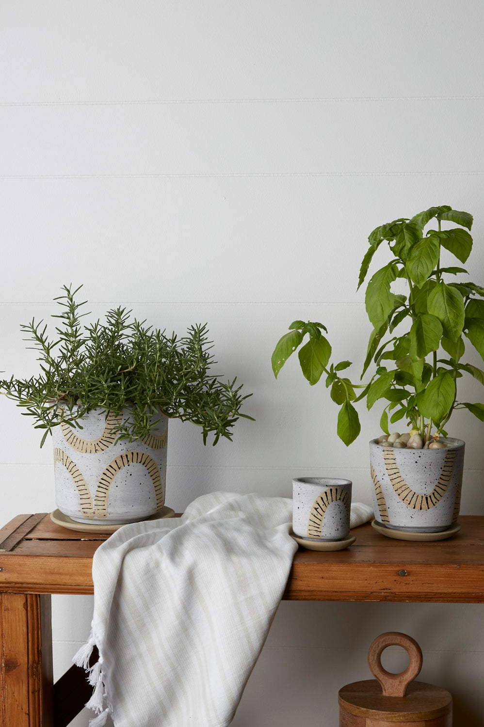 Tocoa Pot