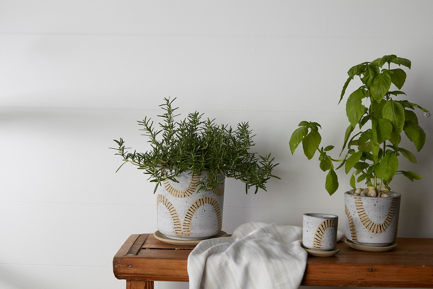 Tocoa Pot