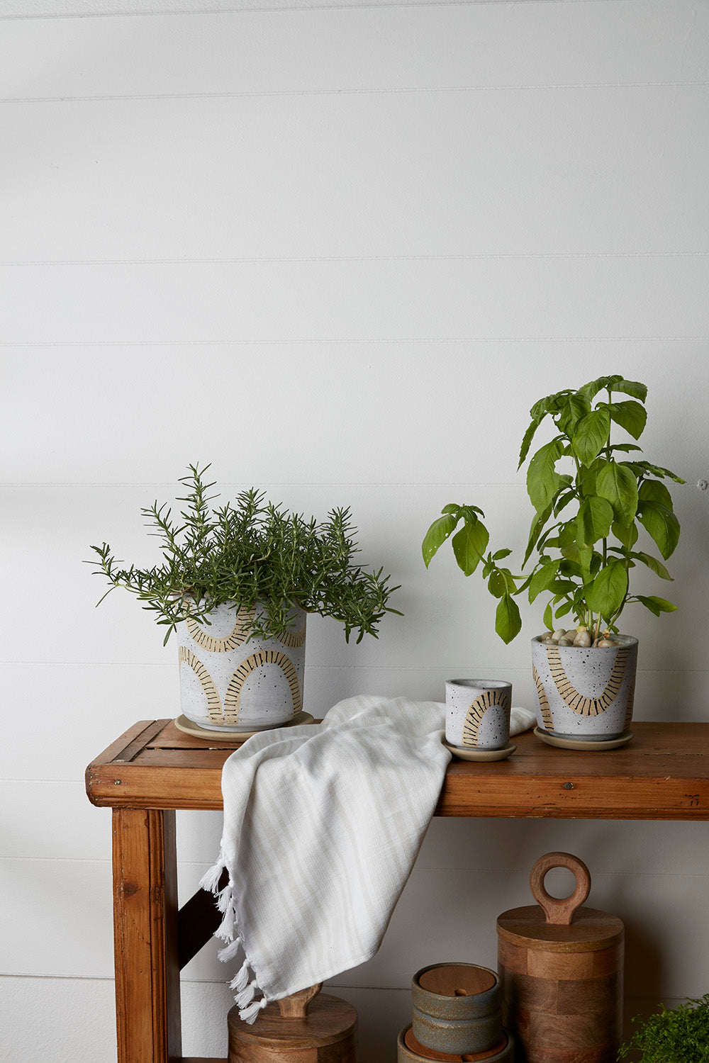 Tocoa Pot