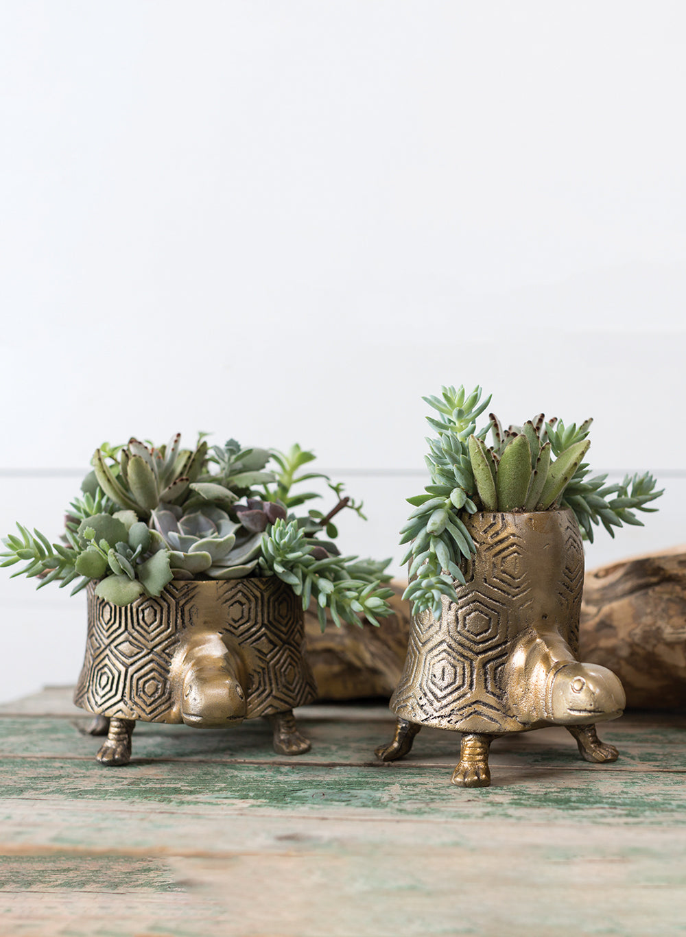 Tommie Turtle Pot