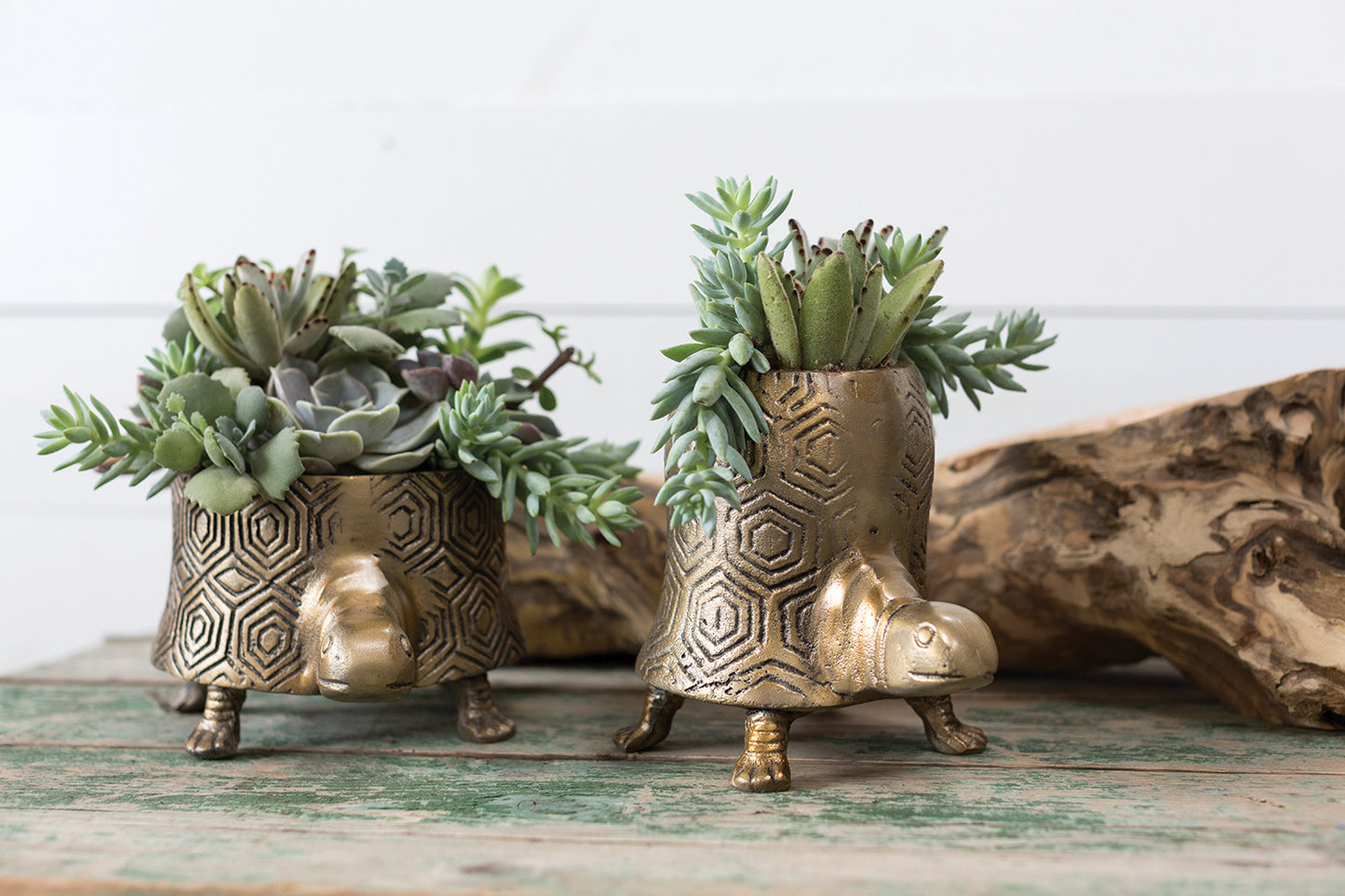 Tommie Turtle Pot