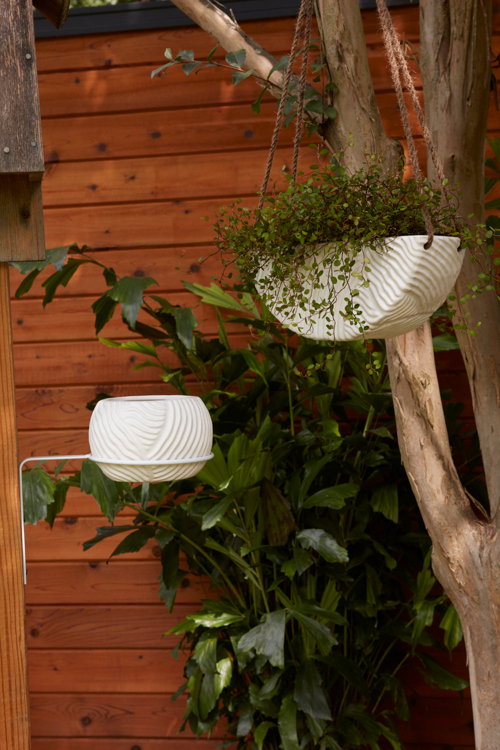 Topography Collection