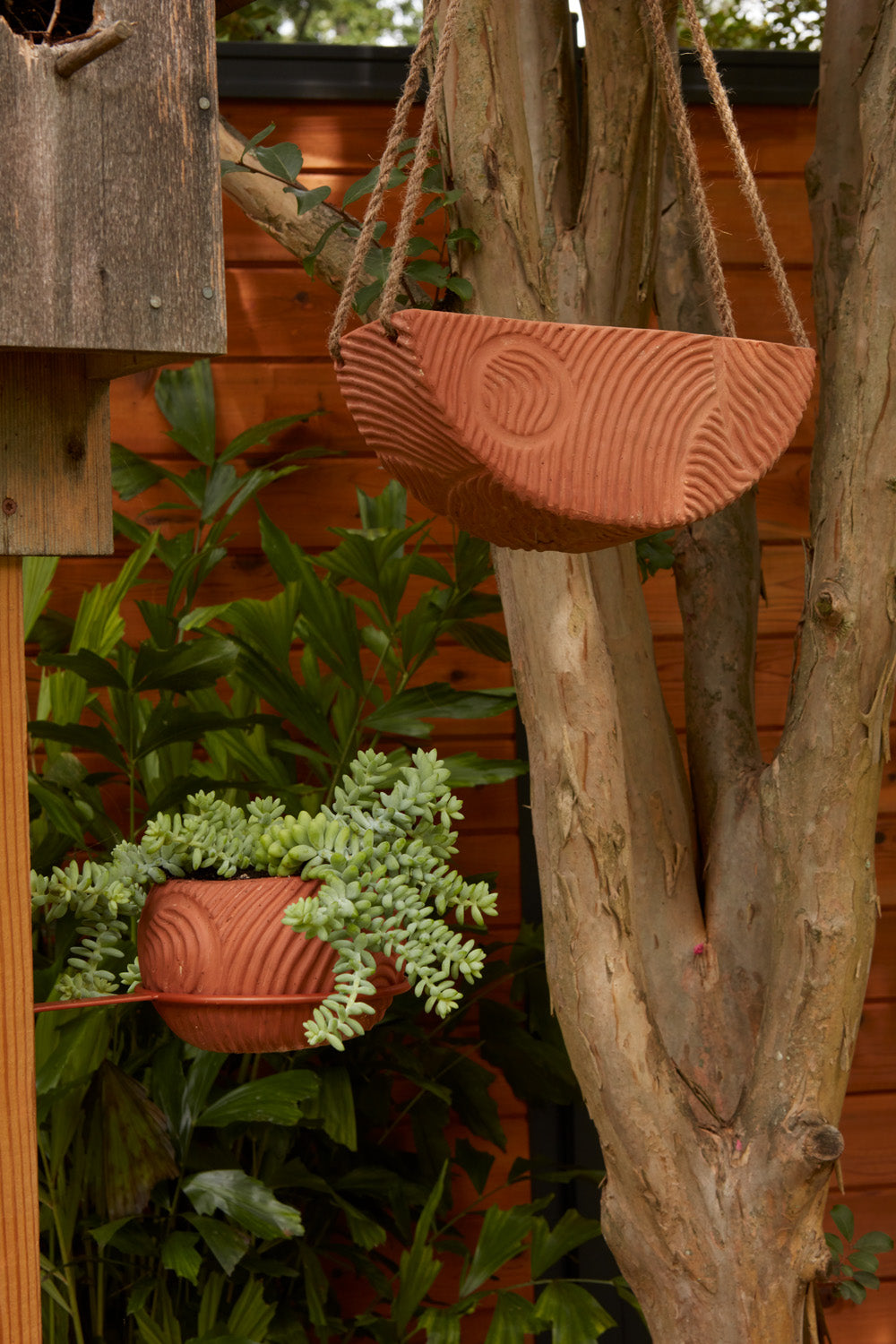 Topography Collection