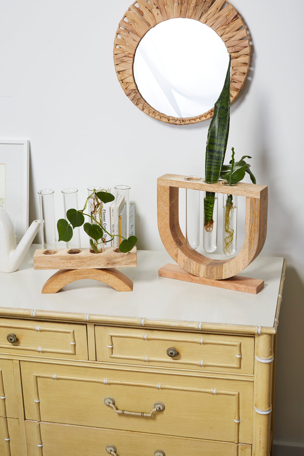 Torrey Propagation Stand