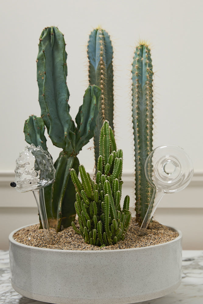 Trickle Watering Tube