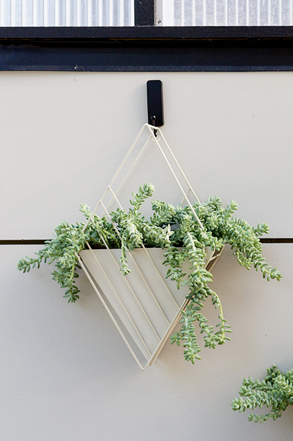 Tulane Hanging Planter