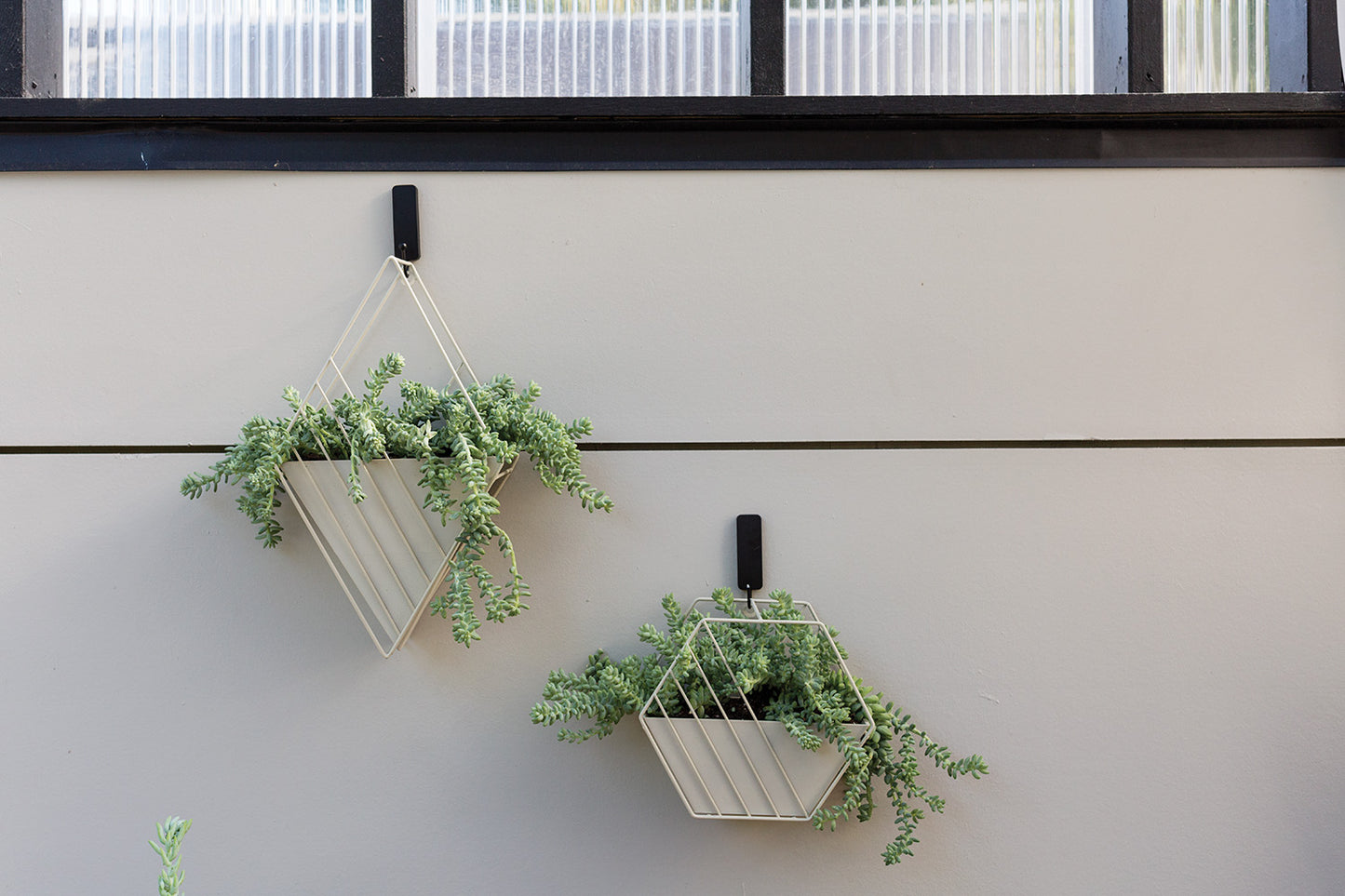 Tulane Hanging Planter