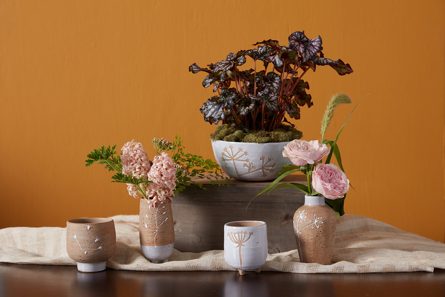Umbel Collection