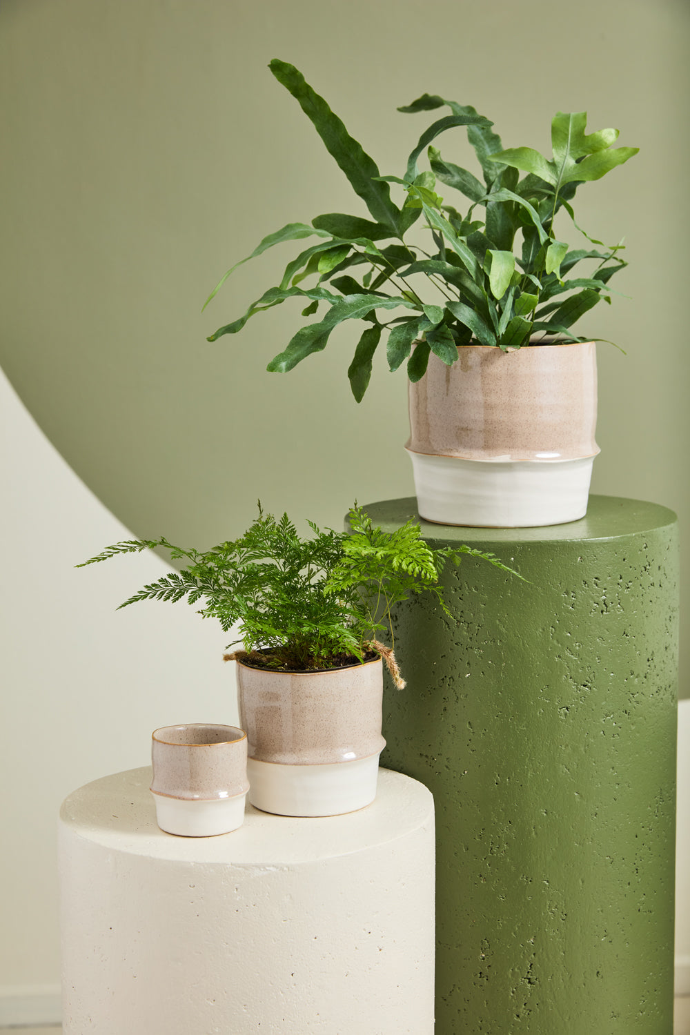 Valley Pot