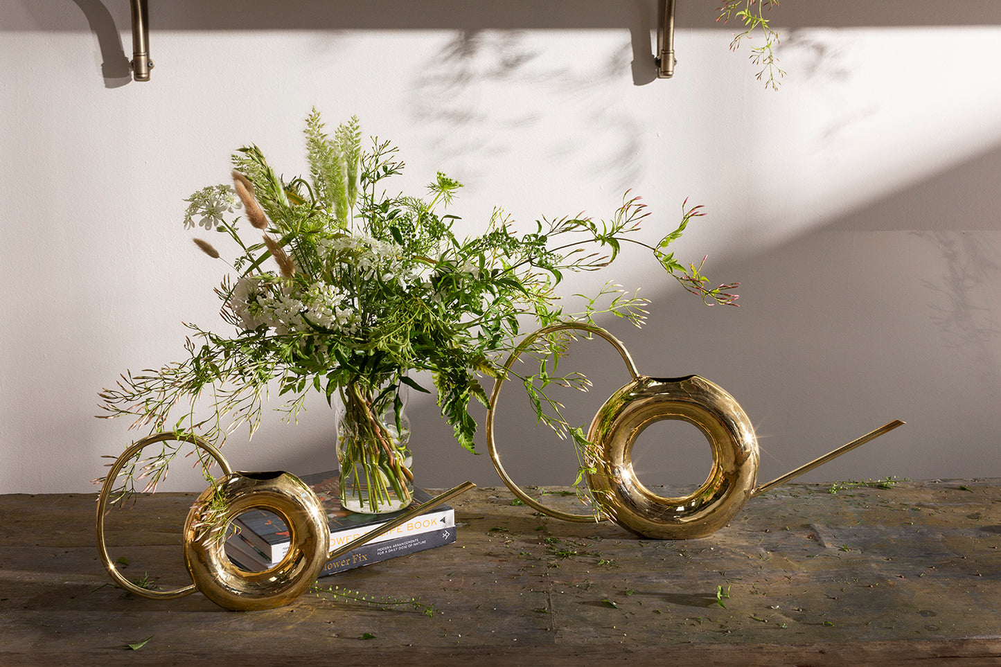 Venn Watering Can