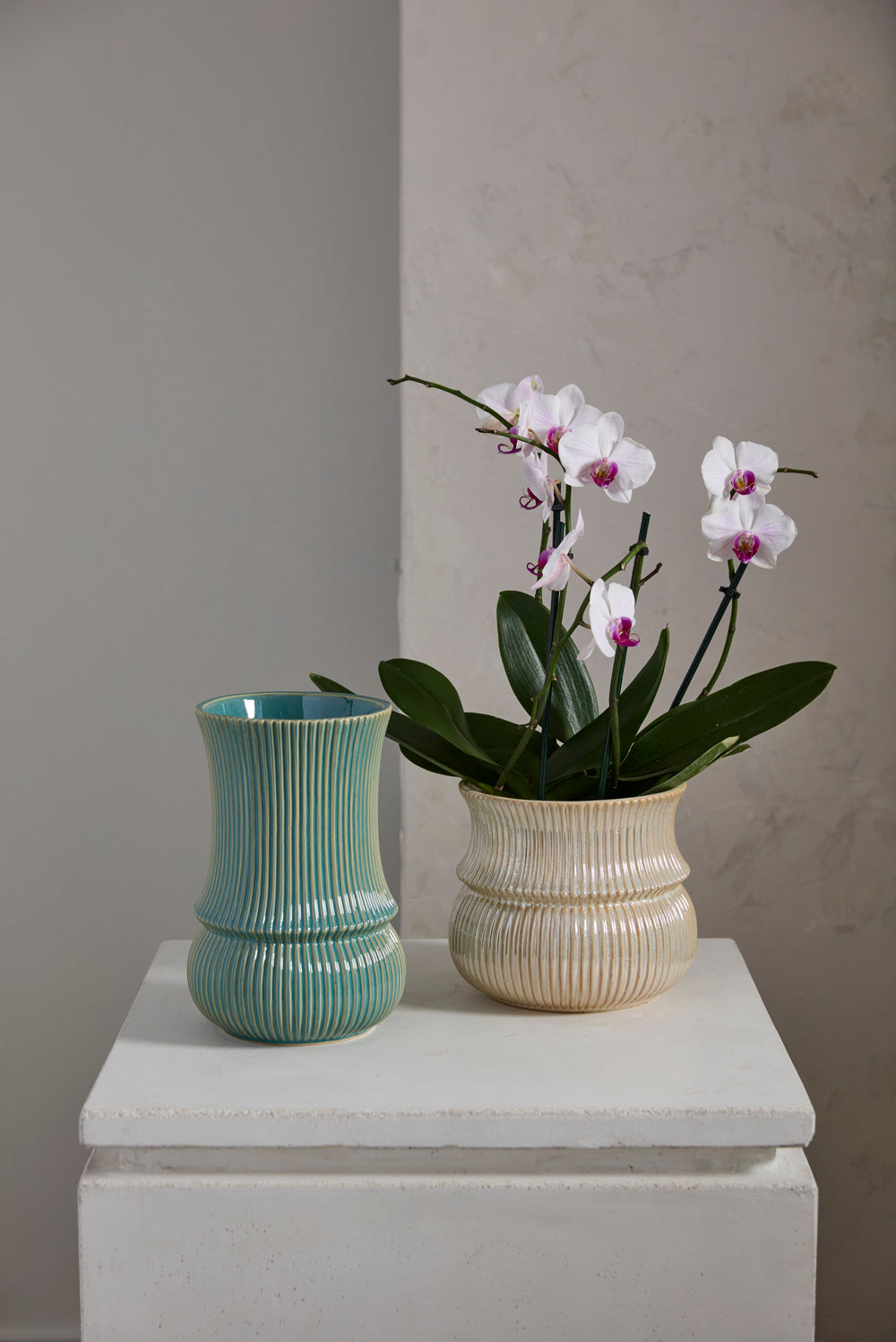 Verdant Collection