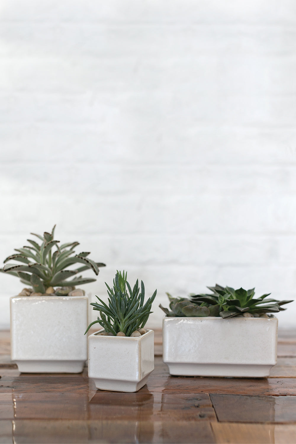 Verge Collection