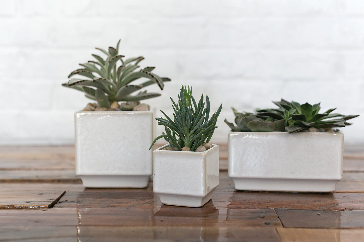 Verge Collection