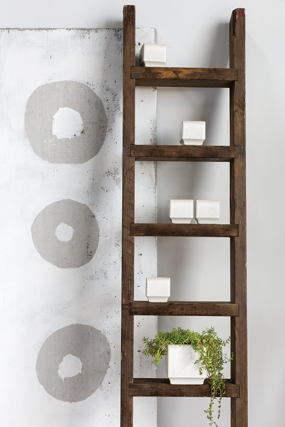 Verge Collection