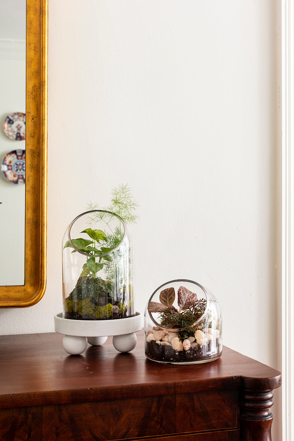 Warner Terrarium