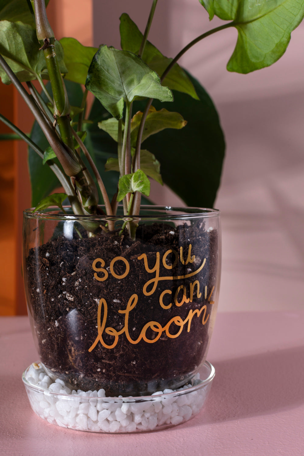 Water Your Roots Pot