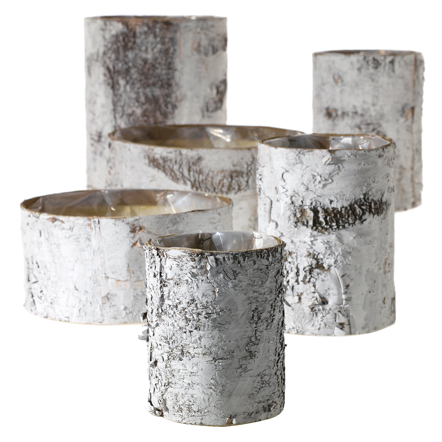White Birch Cylinder and Bowl
