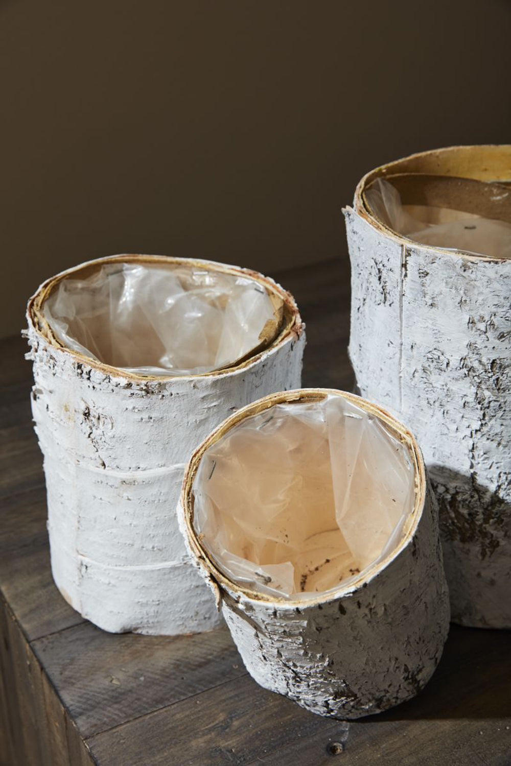 White Birch Cylinder and Bowl