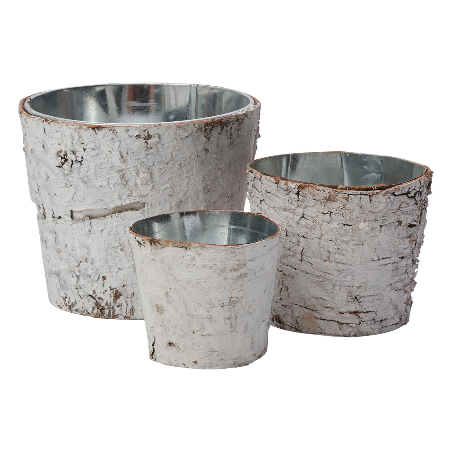 White Birch Pot w/ Zinc