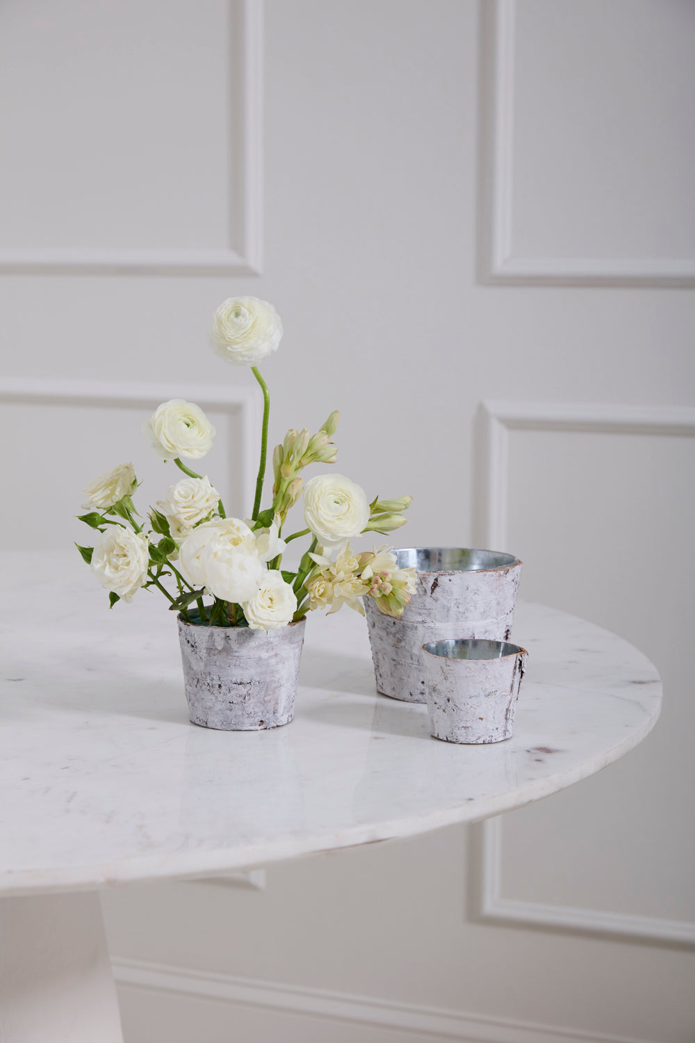 White Birch Pot w/ Zinc