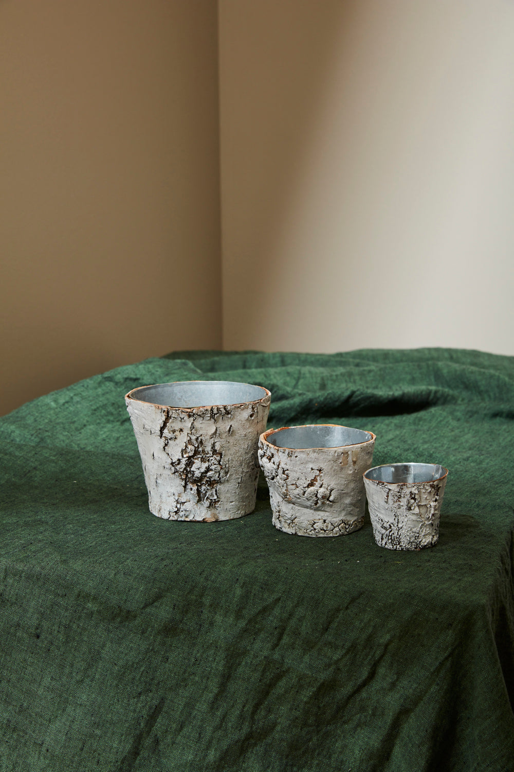White Birch Pot w/ Zinc