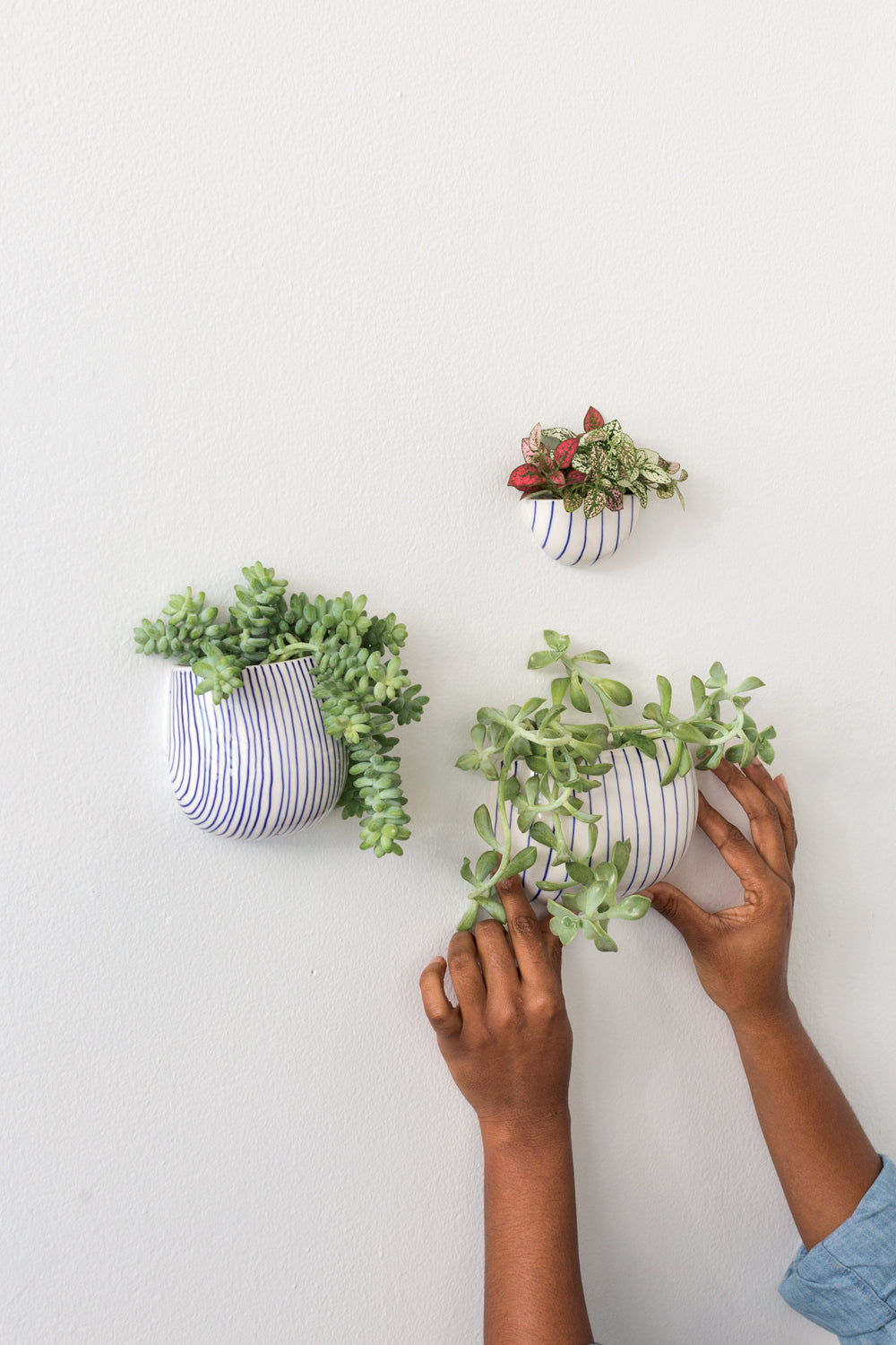 Wim Wall Planter