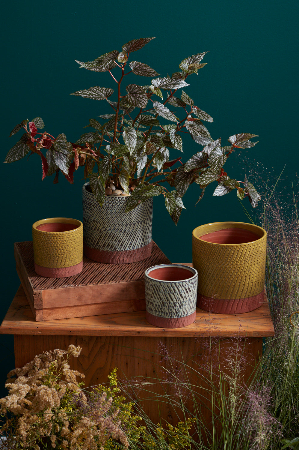 Yarrow Pot