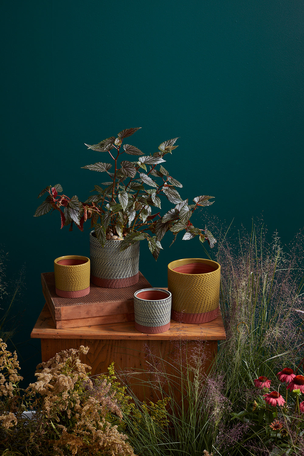 Yarrow Pot