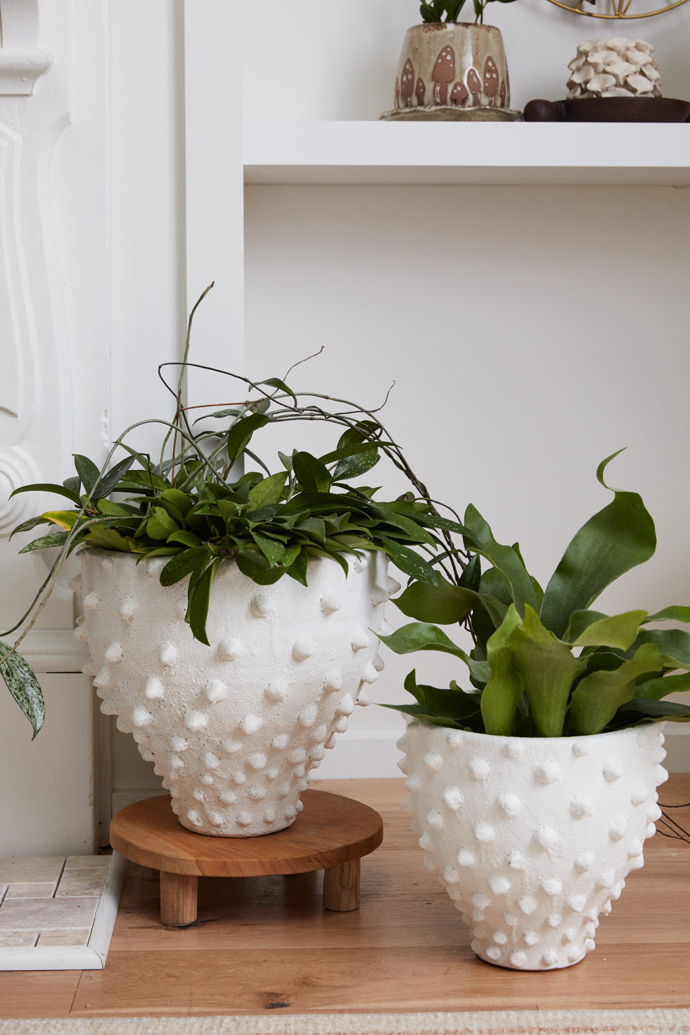 Zemora Vase